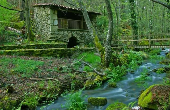 Vila Casa Chuss Sober Exteriér fotografie